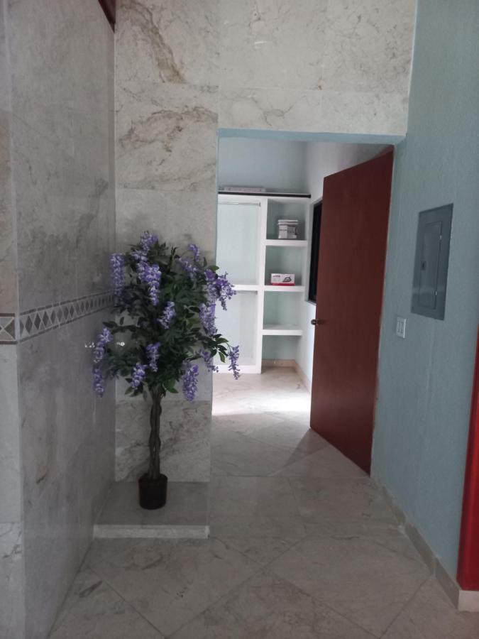 Departamento Tayde Apartment San Jose del Cabo Exterior photo